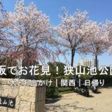 【大阪でお花見！狭山池公園！】